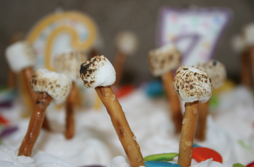 S'mores Cupcakes camping theme birthday