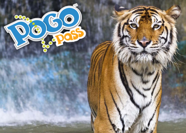 pogo pass dallas family events cheap