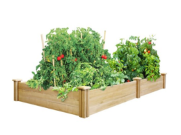 raised planter bed gardening garden vegetable