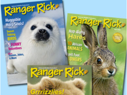 ranger rick magazine discount sale