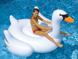 Giant Swan Inflatable Pool Toy and Giant Flamingo