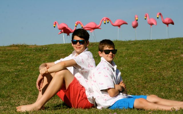 Pink Flamingo Yard Flockings