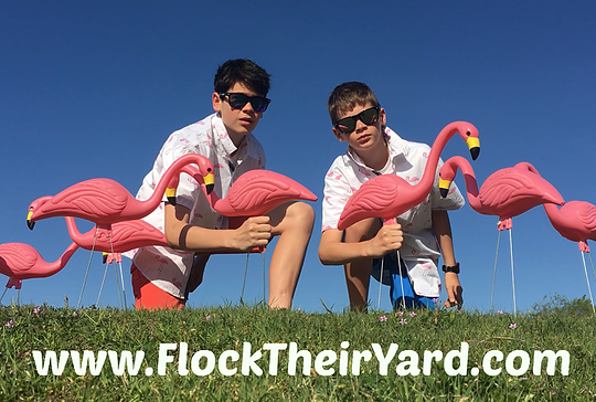 pink yard flamingos flock their yard