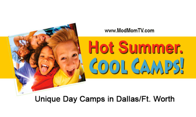 dallas day camps