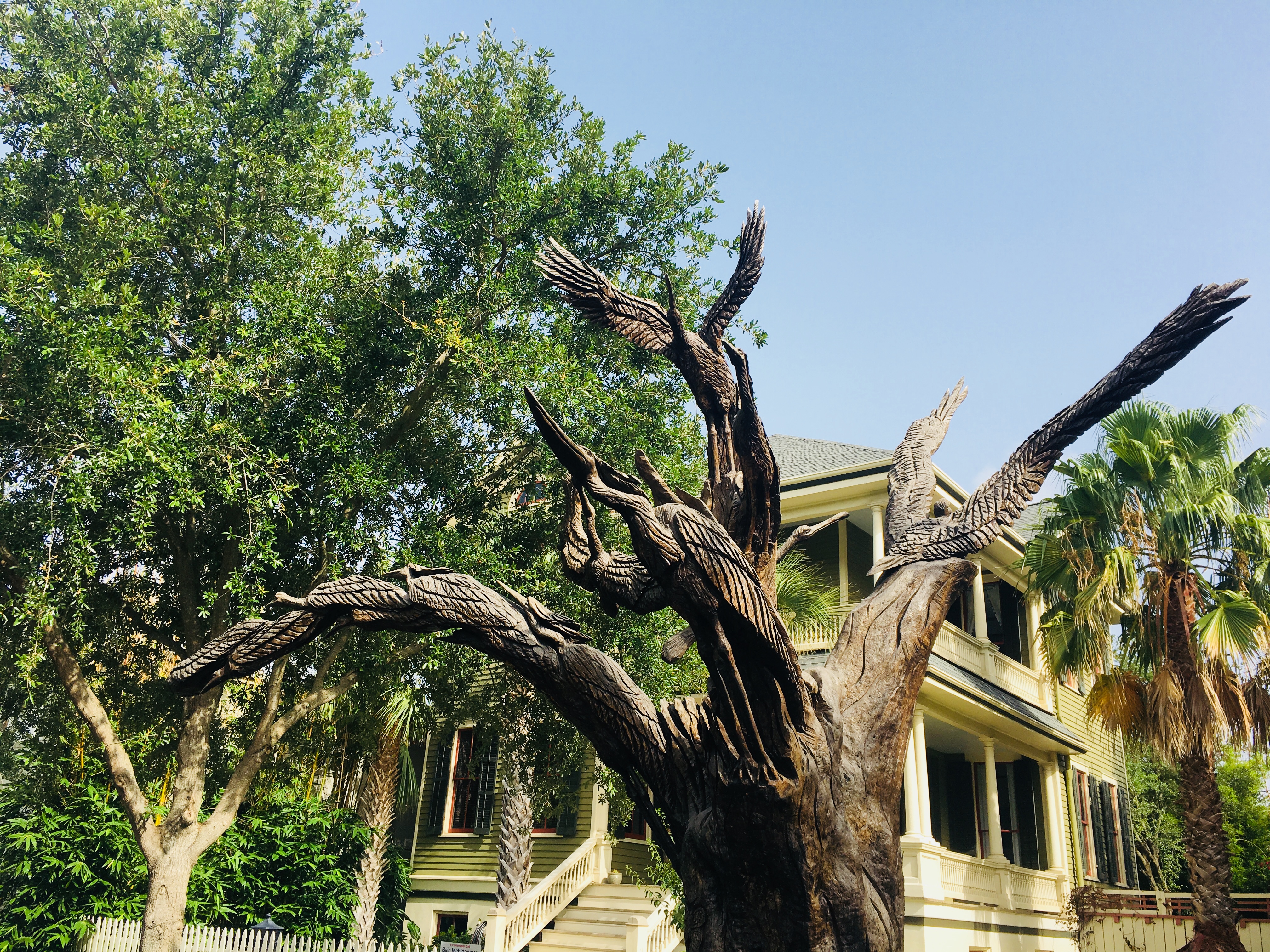 Birds of Galveston tree sculpture